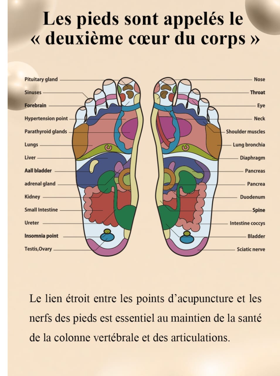 Galerie 14