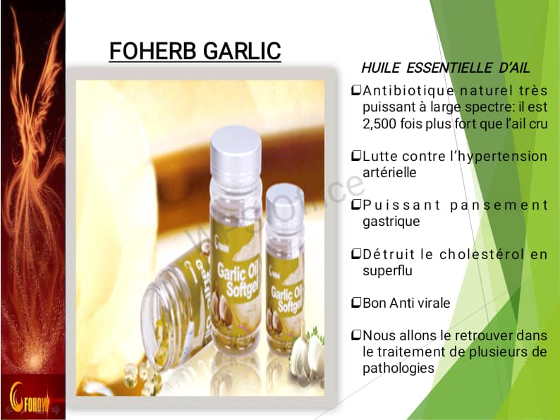 Foherb Garlic – Huile essentielle d'ail