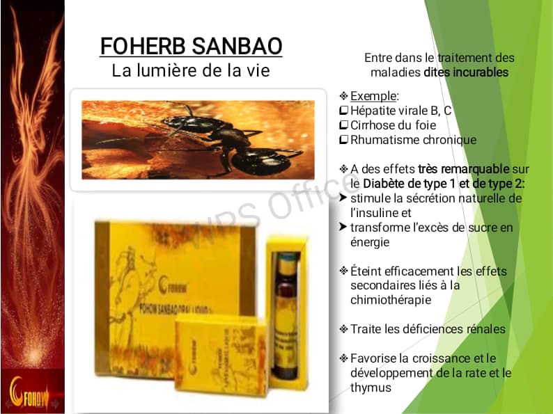 Foherb Sanbao – La lumière de la vie