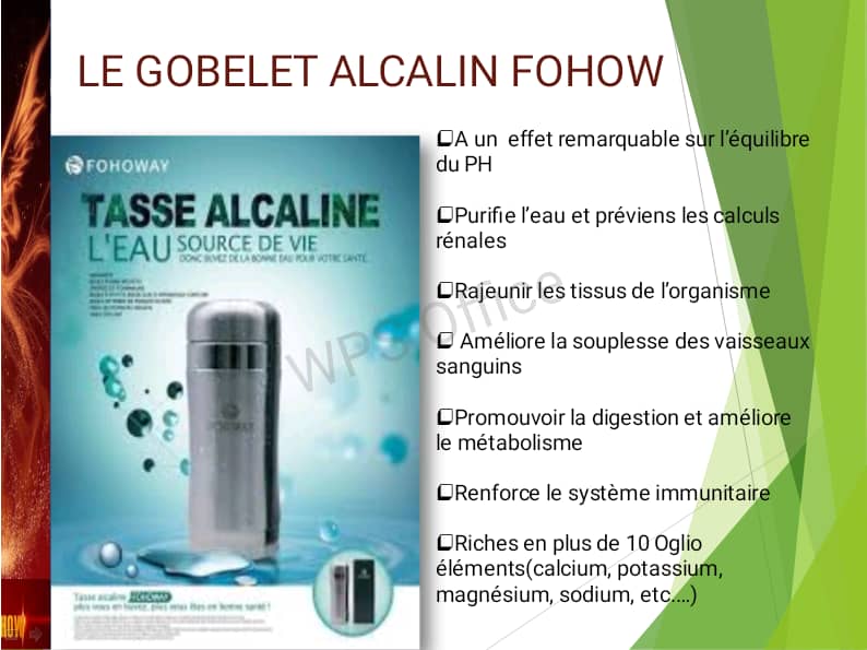 Le Gobelet Alcalin Fohow