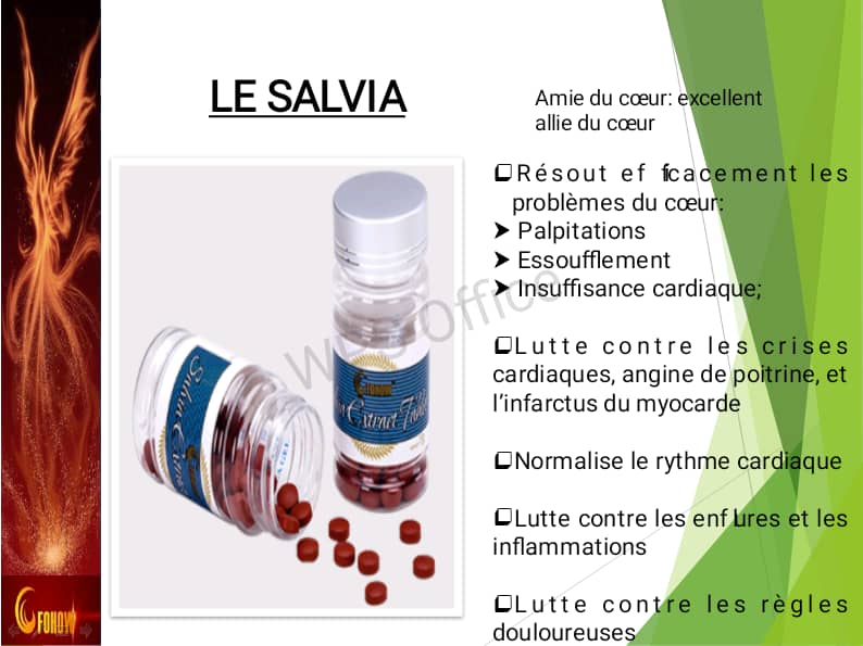 Le Salvia – Amie du cœur